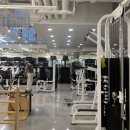 지엑스.피티 네이버블로그