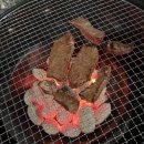 자연펜션캠핑장 | 자연 속 힐링 밀양 캠핑장 감성 가득 밀양 글램핑장 밀양 펜션 후기