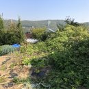 동천동사무소 이미지