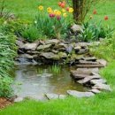 연못이 있는 풍경 이미지