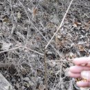 거창환경 이미지