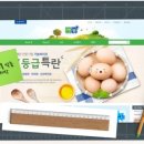 하우디자인기획