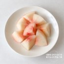 이유씨 | 강아지 복숭아 먹어도 될까? 직접 먹여본 솔직 후기와 씨는 절대 안 되는 이유까지 정리