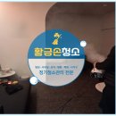 최영현장외과의원 | [강남 잠원동] 성형외과 프리미엄 대청소! 병원 청소 전문업체 작업 현장 진행 생생 후기!