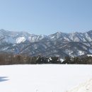 궁중해장국 이미지