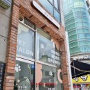 멍멍샤워 이미지