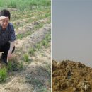 선교농장 이미지