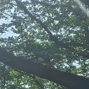 까치PC방 이미지