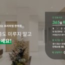 미르365한의원 이미지