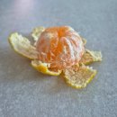 제주의꿈 | 농사꿈 제주귤 로얄과 올해 첫 귤 주문 성공 후기