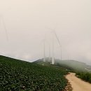 오투여관 이미지