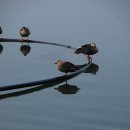 그림자호수 이미지