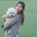해피 - 화성시 효행로291번길 24 | 해피