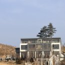 더그레이스파수영장펜션 | [강릉]더그레이 스파 수영장펜션 다녀왔어요 내돈내산 솔직후기😎