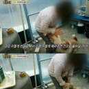 재왕 농장 네이버블로그