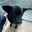 라이꺼마라탕 | 저대머리라서자퇴안된데여.