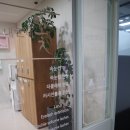 내눈에꽃 네이버블로그