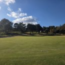 해비치 힐 이미지