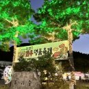 홍천시티투어 이미지