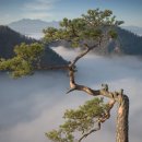 하리벗 Daum카페