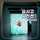 재래시장행신점 | 그라운드시소 센트럴 요시고 사진전 2(평일관람/내돈내산 후기) : 수영인을 위한 전시추천