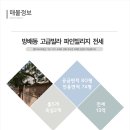 파인빌리지 이미지