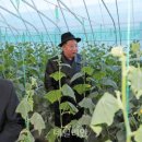 관영농장 이미지