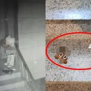 중앙로48번길 이미지