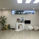 스테이그로브 이미지