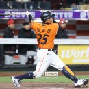 김태연 카카오 검색결과