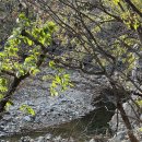 청주 운곡서원 이미지