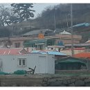 죠이민박 이미지