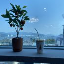 양덕동303 | 현동필라테스 찾는 분들께 마산 대표 체형 교정 중심 달망필라테스를 소개합니다