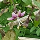 청도군-19 이미지