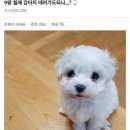 아마도 - 강서구 등촌로 147 | 아마도