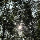 우물가의 미소 이미지