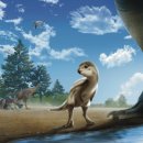 공룡주먹 - 구미시 도봉로 76-55 | 공룡주먹