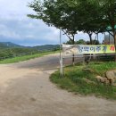 칠곡양떼목장 이미지