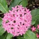 감내2로137 이미지