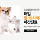 뉴본동물의료센터 이미지