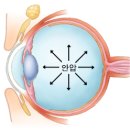 풀잎한의원 이미지