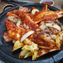 금강산낙지마을 이미지