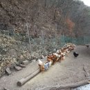 장군농장 이미지