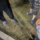 첫 경매 낙찰 다음날 해야할 일들과 명도 첫 번째 이야기