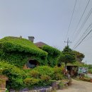 사계의들녘 이미지