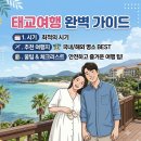 동양카중기공업사 | 태교여행 시기와 추천지역! 발리를 고른 이유와 비행기 탑승 꿀팁