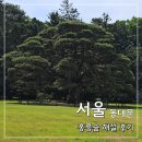 홍릉초교 | 국립산림과학원 홍릉숲해설 후기 | 주말 예약 방법, 서울 동대문 가볼만한곳 추천