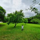 금광관광농원 이미지