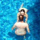 현대수영장 이미지