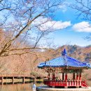 쌍화차거리 이미지